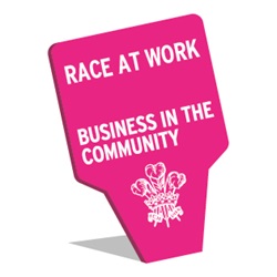 Race at work - Business in the community