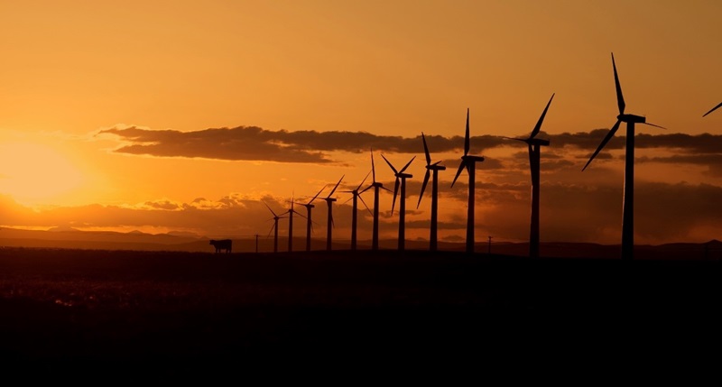 wind farm sunset