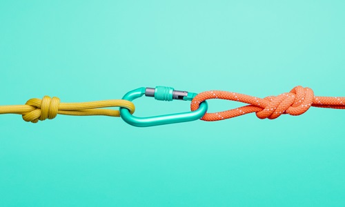 carabiner clips