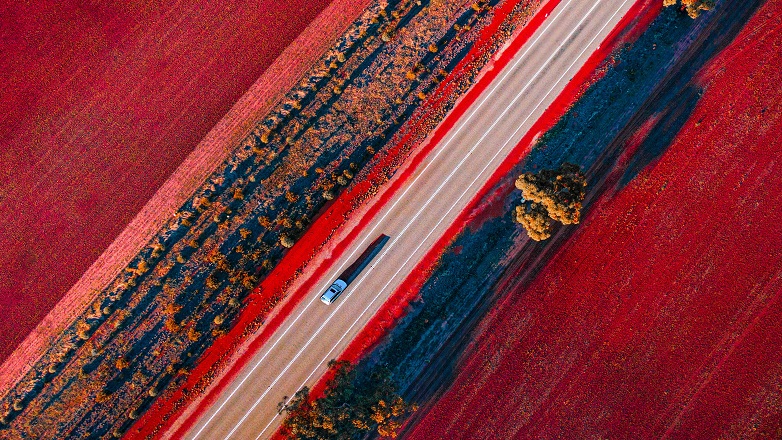 car driving through red field