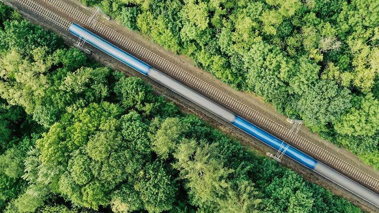 train passing through trees